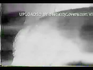 Vintage - Video de Zoofilia - ZoofiliaVids->