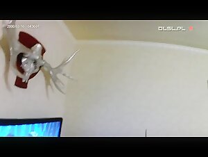 Team russia - Sofya 2f - Video de Zoofilia - ZoofiliaVids