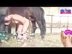 Team Russia - MEGA MIX - Video de Zoofilia - ZoofiliaVids