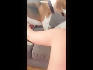 Full video? - Video de Zoofilia - ZoofiliaVids